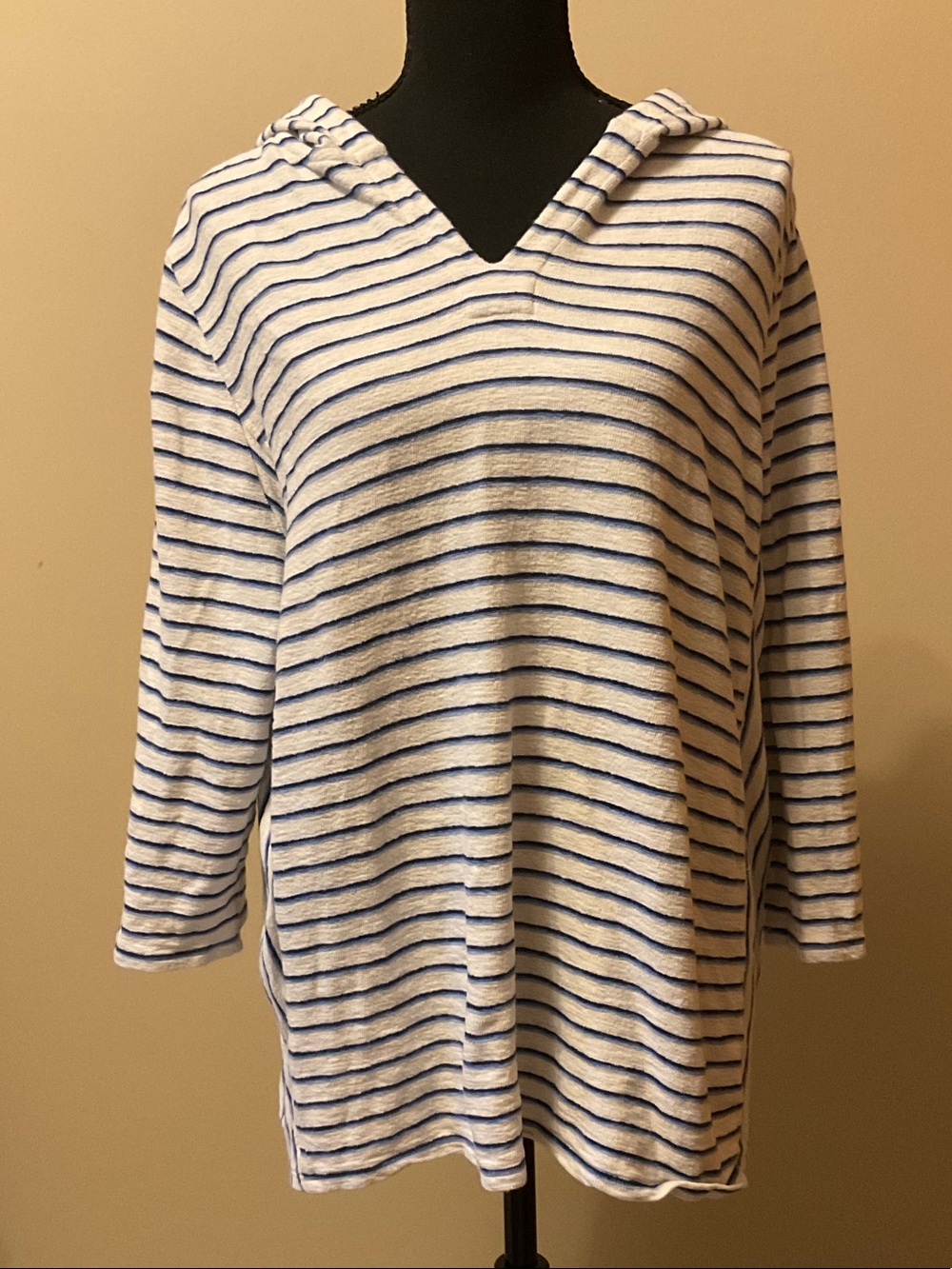 J. Jill Cream and Blue Striped Hooded Pullover